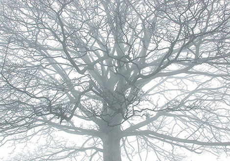 'Can't write today' by Tony Hall